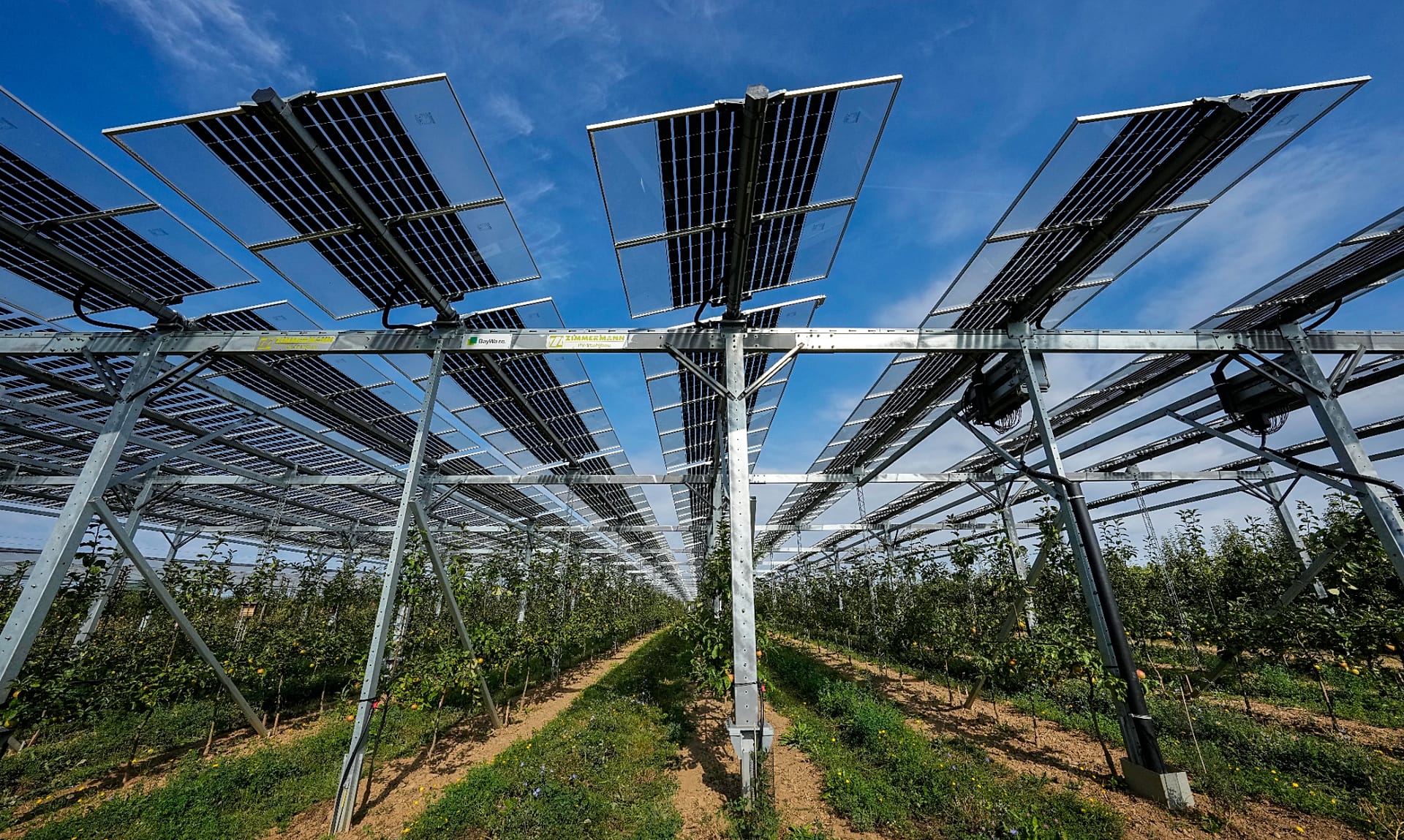 Farming and solar power are competing for land. Can agrivoltaics solve ...