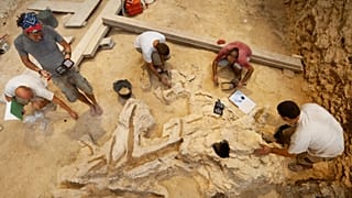 Trabajo de dibujo y registro durante la excavación del objeto de madera en el Abric Romaní. / Gerard Campeny (IPHES-CERCA)