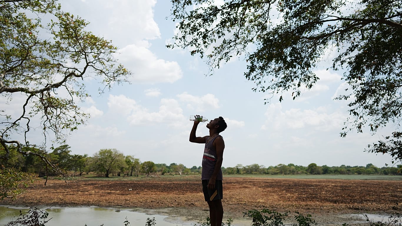 Indika Nuwankumara drinks water while searching a dried-up irrigation tank in Medirigiriya, Sri Lanka, Sunday, Sept. 13, 2026.