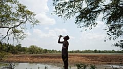 Indika Nuwankumara drinks water while searching a dried-up irrigation tank in Medirigiriya, Sri Lanka, Sunday, Sept. 13, 2026.