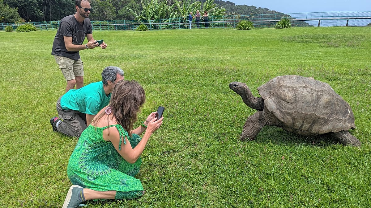 Jonathan the tortoise, the world’s oldest living land animal