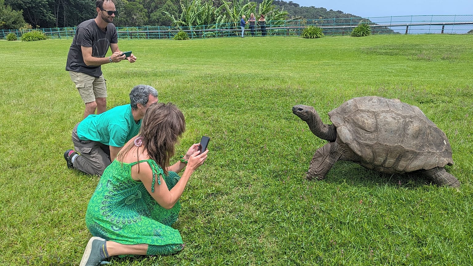 ourists take photos of Jonathan, a 192-year-old tortoise, on the lawn of Plantation House on the South Atlantic island of St. Helena on Thursday, Feb. 22, 2024.