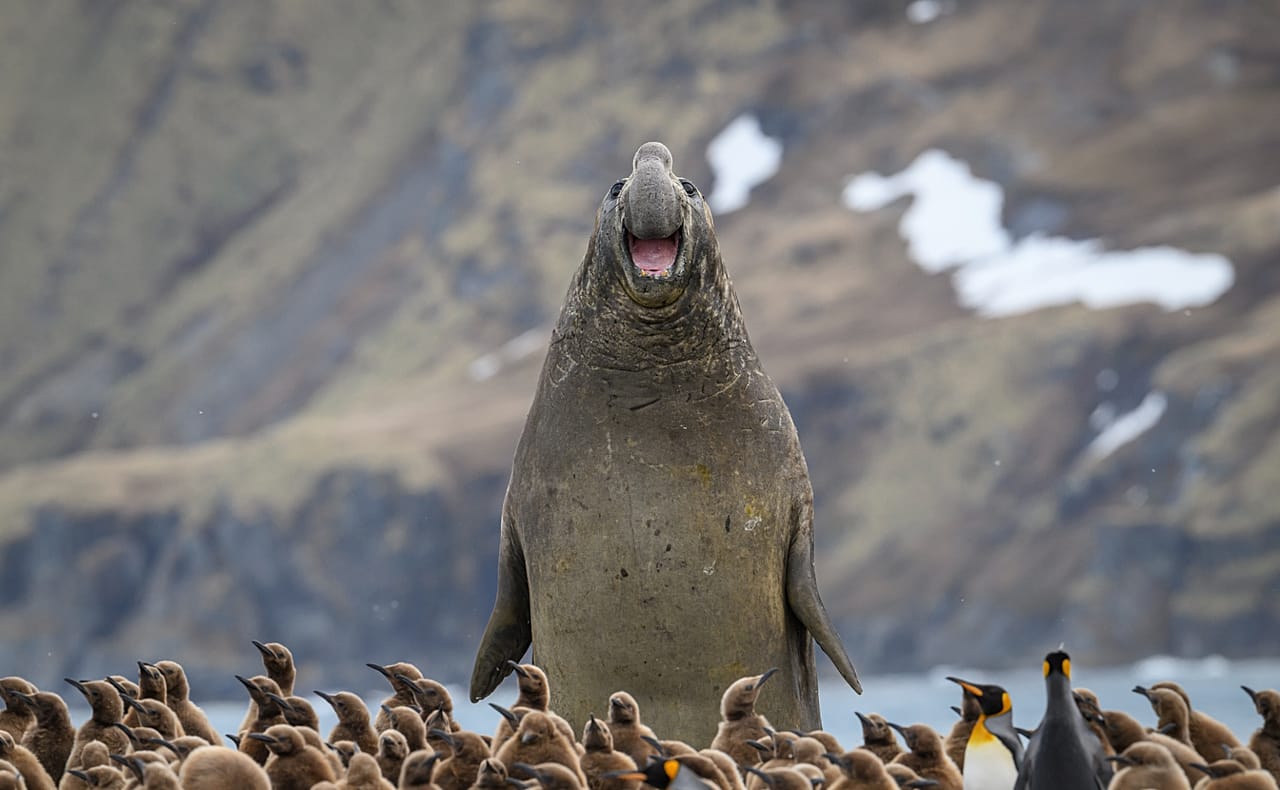 Sorriso, de MarekJackowski