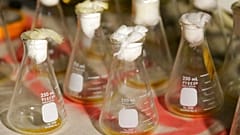The United States has long accused Russia of researching biological weapons (file photo)