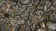 Egy kiszáradt folyómeder Franciaországban, illusztráció
