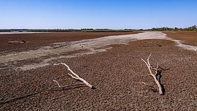 Lago Tisza, agosto de 2026