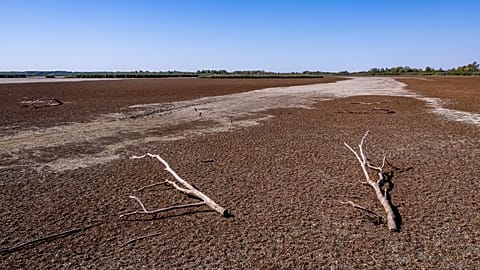 Lake Tisza, August 2026