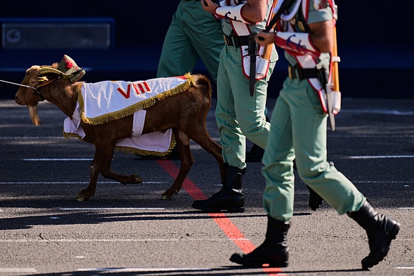 Babieca, la mascota de La Legión, la unidad de élite del Ejército español, desfila durante el desfile militar con motivo del Día de la Hispanidad el 12 de octubre de 2026.