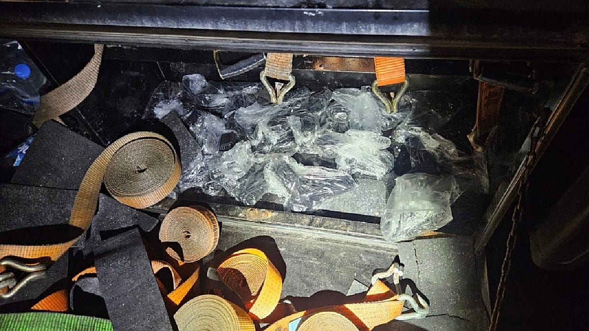 Interpol operation seized 2,800 illegal firearms across Europe and Asia