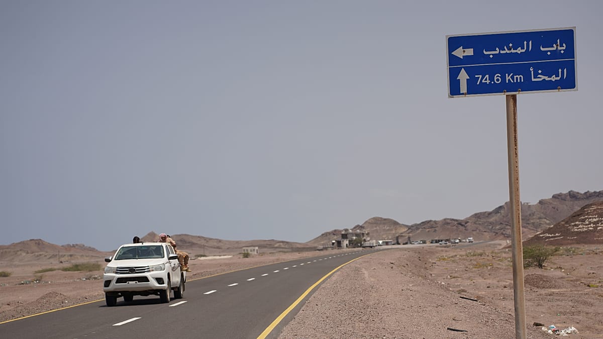 صورة الخبر