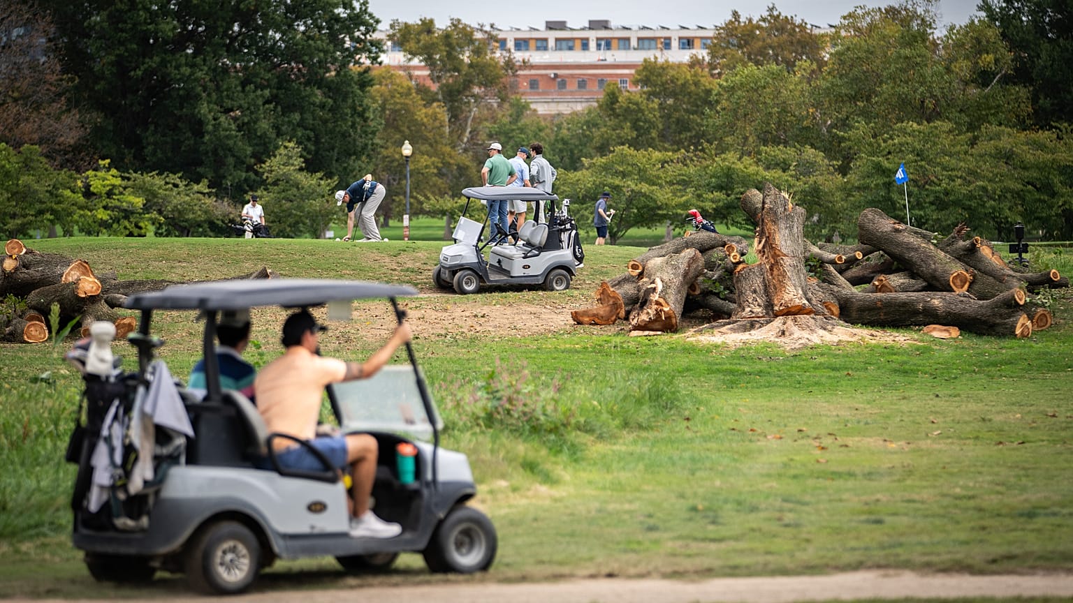 Golfçüler, Washington'daki East Potomac Golf Links'te, Ulusal Park Servisi tarafından yakın zamanda kesilen ağaçların yanından geçiyor, 10 Ekim 2026.