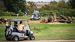 Golfçüler, Washington'daki East Potomac Golf Links'te, Ulusal Park Servisi tarafından yakın zamanda kesilen ağaçların yanından geçiyor, 10 Ekim 2026.
