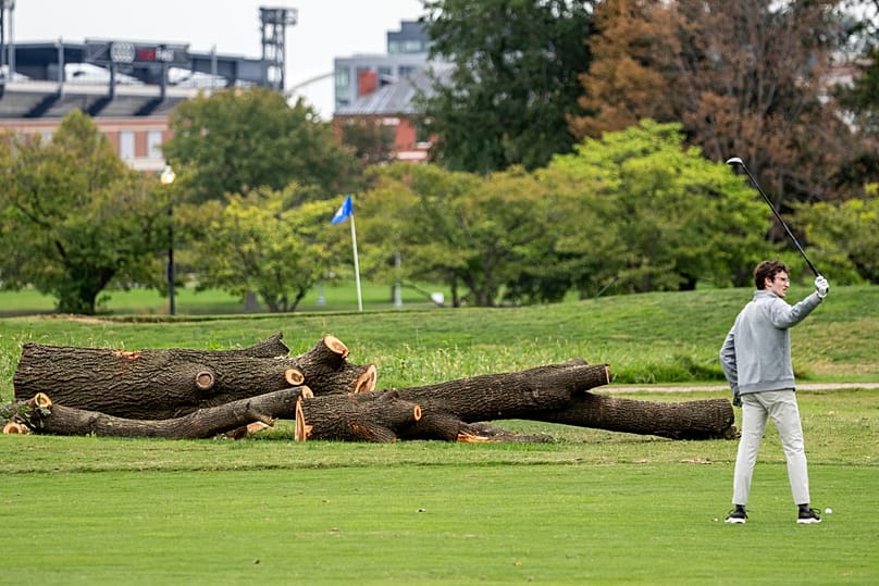 Washington'daki East Potomac Golf Links'te bir golfçü yakın zamanda kesilmiş ağaçların yanında görülüyor, 10 Ekim 2026.
