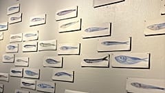 "Balık Yolunu Bilir," Adina Mocanu