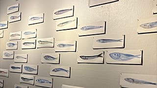 "Balık Yolunu Bilir," Adina Mocanu