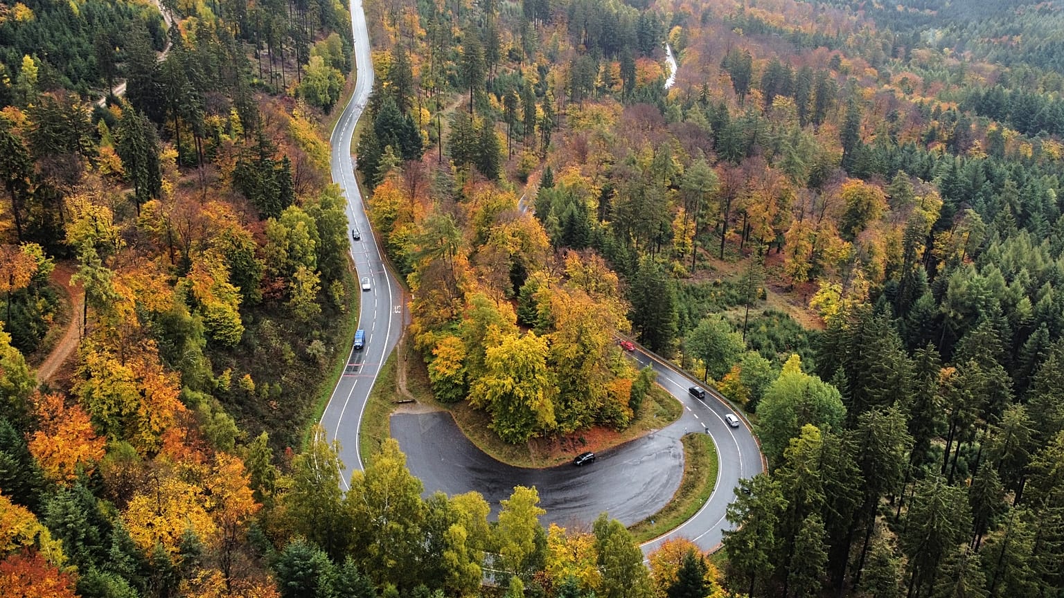 Autos fahren am Dienstag, dem 21. Oktober 2025, auf einer Straße durch das herbstlich gefärbte Laub im Taunus bei Frankfurt am Main.