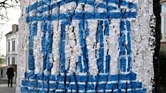 Un albero con il logo Unesco