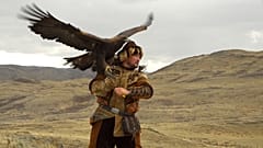 A falconer ready and waiting to send his bird at the first Open Asian Falconry Cup in Kazakhstan
