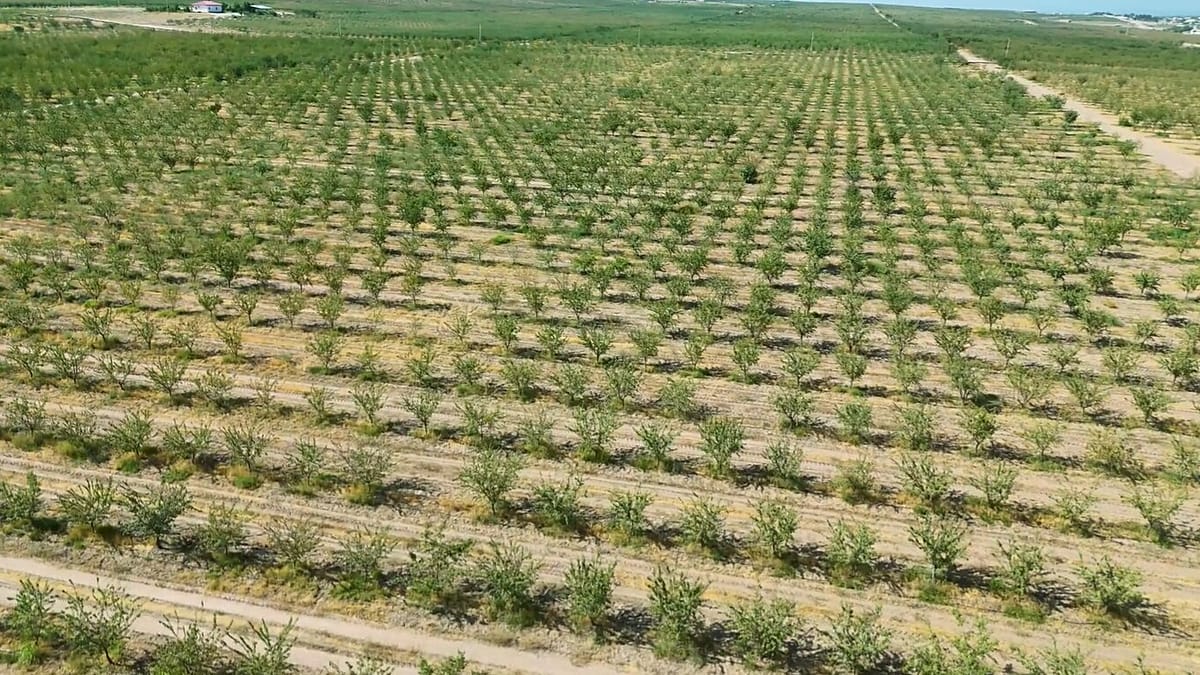 Landlocked Nations Face Food Crisis
