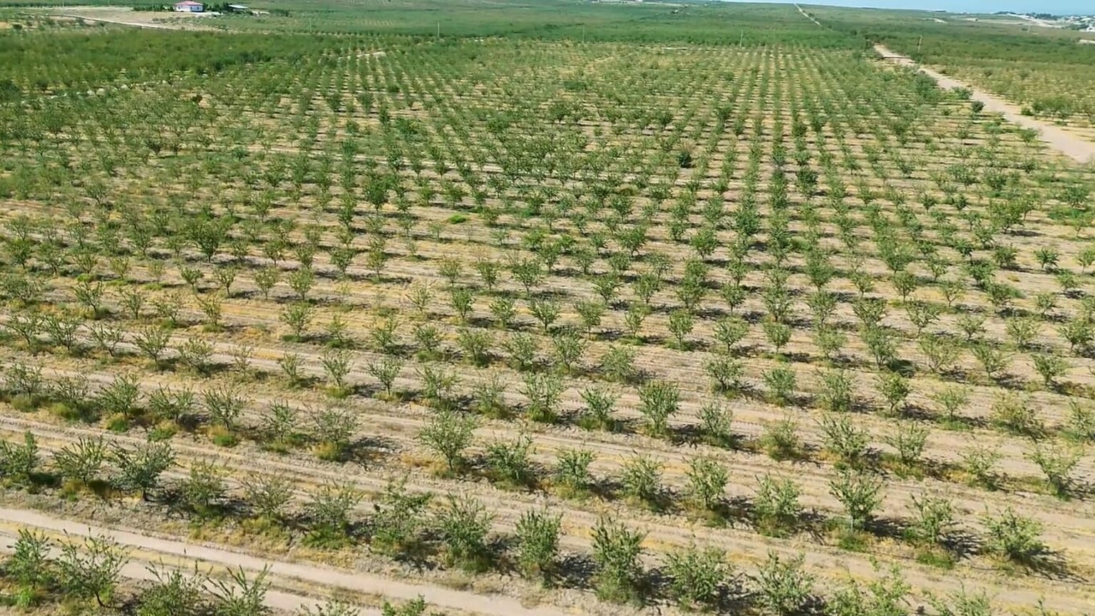 Agrarflächen in Usbekistan