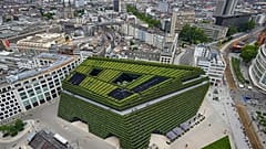 Europe's largest green facade improves the microclimate in Dusseldorf's KII commercial building and absorbs as much CO2 as 80 large deciduous trees, pictured June 2023.