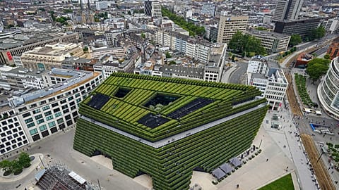 Europe's largest green facade improves the microclimate in Dusseldorf's KII commercial building and absorbs as much CO2 as 80 large deciduous trees, pictured June 2023.