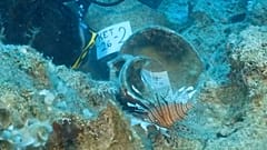 Arqueólogos dizem que um naufrágio de 4.400 a 4.700 anos, descoberto perto da ilha de Kekova, na Turquia, transportava potes cerâmicos e âncoras de pedra pelo Mediterrâneo.