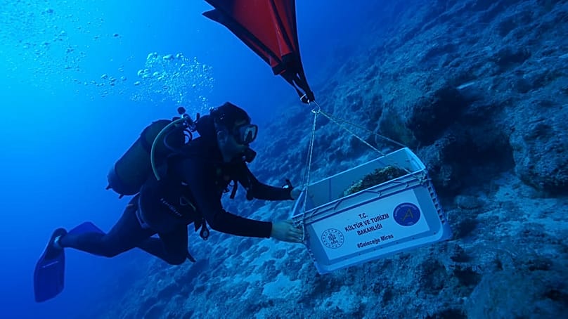 Dalgıçlar Kekova'daki batık alanında araştırma yapıyor.