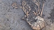 Kreisarchäologie Dingolfing-Landau