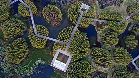 The "Fish Tail" sponge park was built on a former coal ash dump site in Nanchang, China
