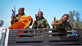 Eritrean forces suffer 'heavy losses' in Tigray, Ethiopian militia says