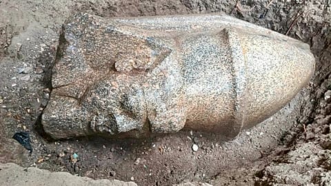 The head of a Ramses II statue discovered in Egypt’s Nile Delta measures about 1.6 metres tall