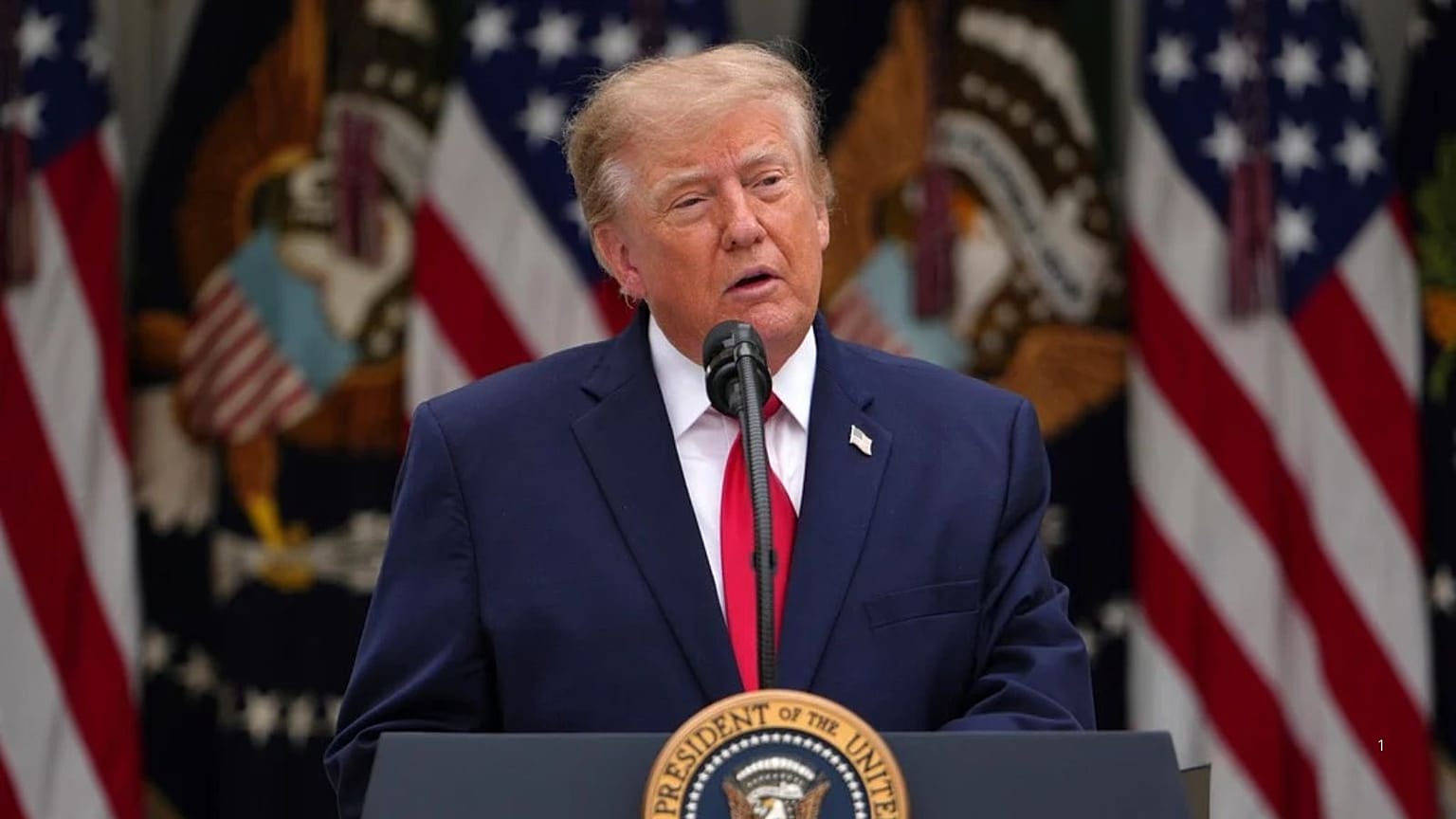 President Donald Trump