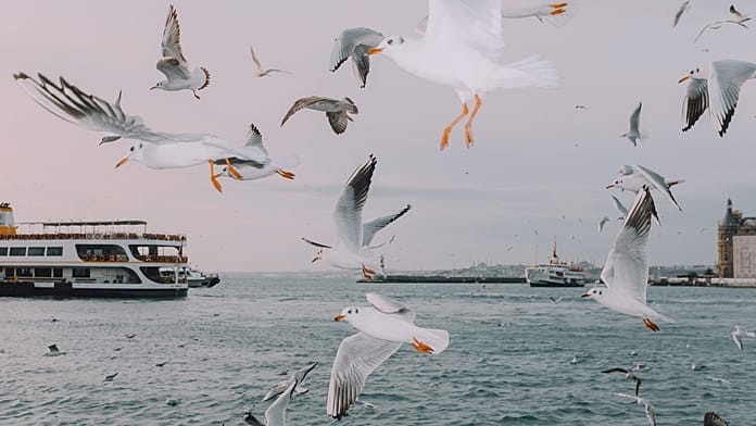 Fotoğraf sanatçısı Ci Demi’nin 'Something Is Amiss' serisi İstanbul’a dönüyor