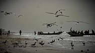 Fishermen head out to fish in their boats at dusk from Brufut beach, Gambia, on March 25, 2025.