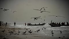 Fishermen head out to fish in their boats at dusk from Brufut beach, Gambia, on March 25, 2025.
