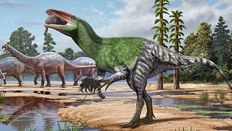 An artist’s illustration of Invictibellatrix amberina. 