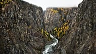 Edward Burtynsky/Hasselblad H4D