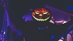 With Halloween on a Saturday in 2026, there will be plenty of parties
