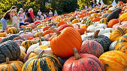 Belgium: Pumpkimania festival takes over Groot-Bijgaarden Castle