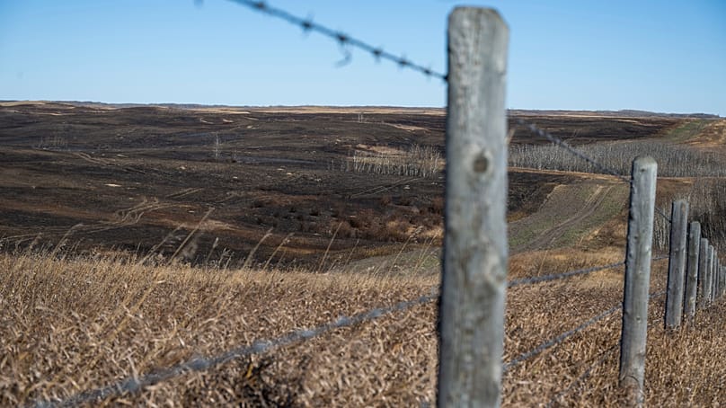 The burn area on CFB Wainwright south of the town Wainwright Alberta, Canada on Sunday, Oct. 18, 2026. (John Ulan/The Canadian Press via AP)