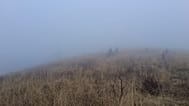 Warunki pogodowe na szlaku, na którym znaleziono dzieci. 