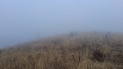 Wetterlage auf dem Weg, auf dem man die Kinder fand.