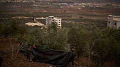 فلسطينيون يتراجعون أمام مستوطنة شيلو الإسرائيلية، ويشاركون في حصاد الزيتون في بلدة ترمس آية بالضفة الغربية، الأربعاء 14 أكتوبر 2026.
