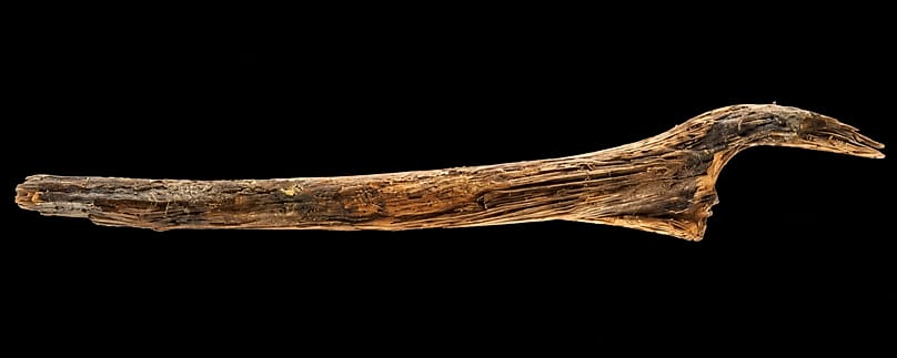 Bei einem etwa 1,6 Meter hohen Pfahl aus dem Arendsee mit Fäll- und Bearbeitungsspuren könnte es sich um das tragende Element eines mittelsteinzeitlichen Bauwerks gehandelt ha