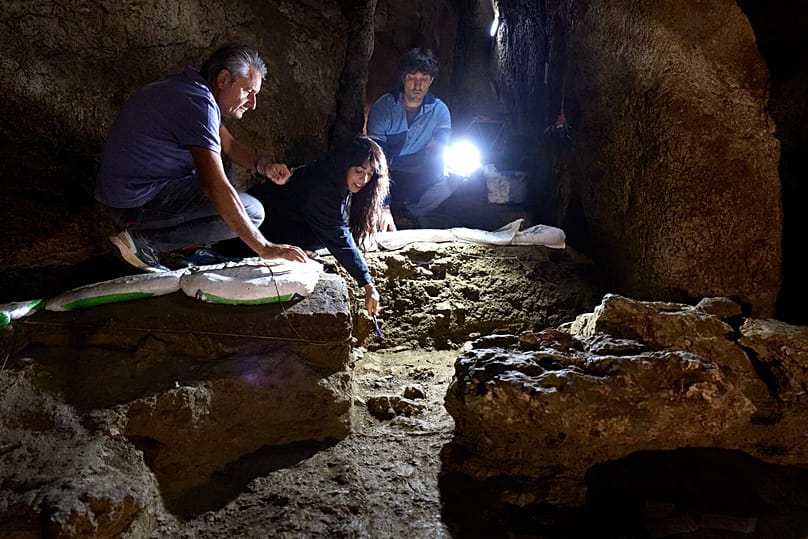 Excavación arqueológica en el área dónde los huesos fueron encontrados
