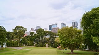 Study links green spaces to lower dementia risk.