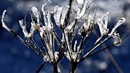 Der erste Schnee in Deutschland wurde angekündigt. Doch liegen bleiben soll er noch nicht.