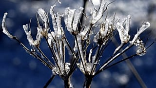 Der erste Schnee in Deutschland wurde angekündigt. Doch liegen bleiben soll er noch nicht.