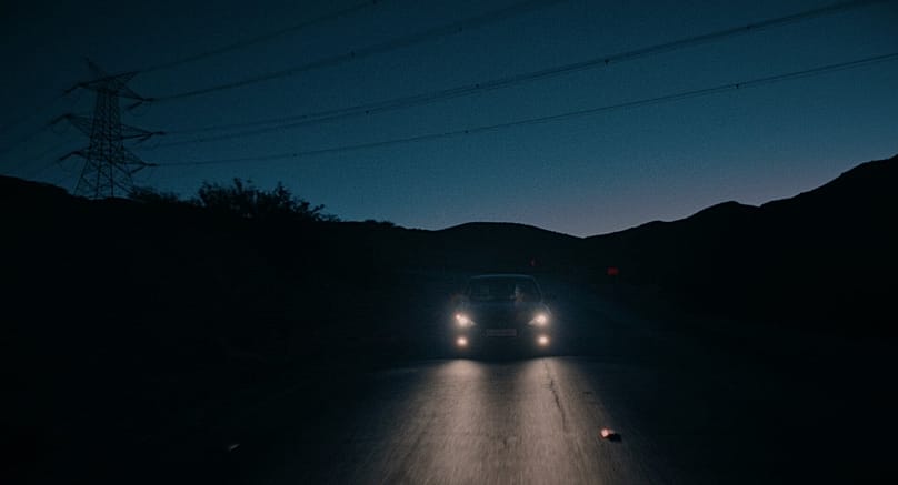 «Coyotes»